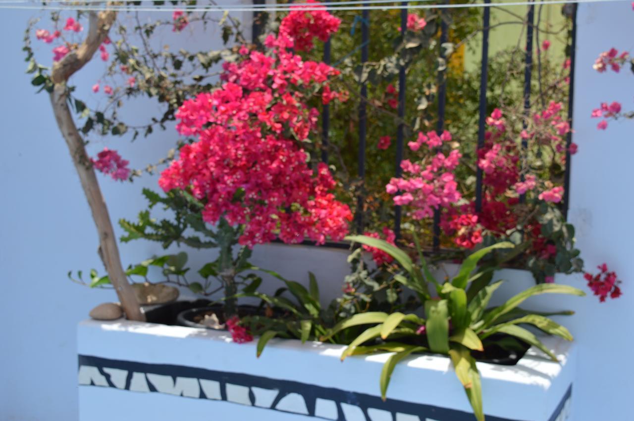 Bed and Breakfast Yacht Club Sal Palmeira Екстер'єр фото